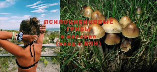 МДПВ Навашино