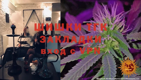 стаф Надым