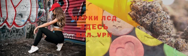 гидра Бронницы